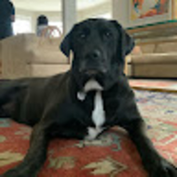 Meet your Posher, Manya - Picture 1 of 1